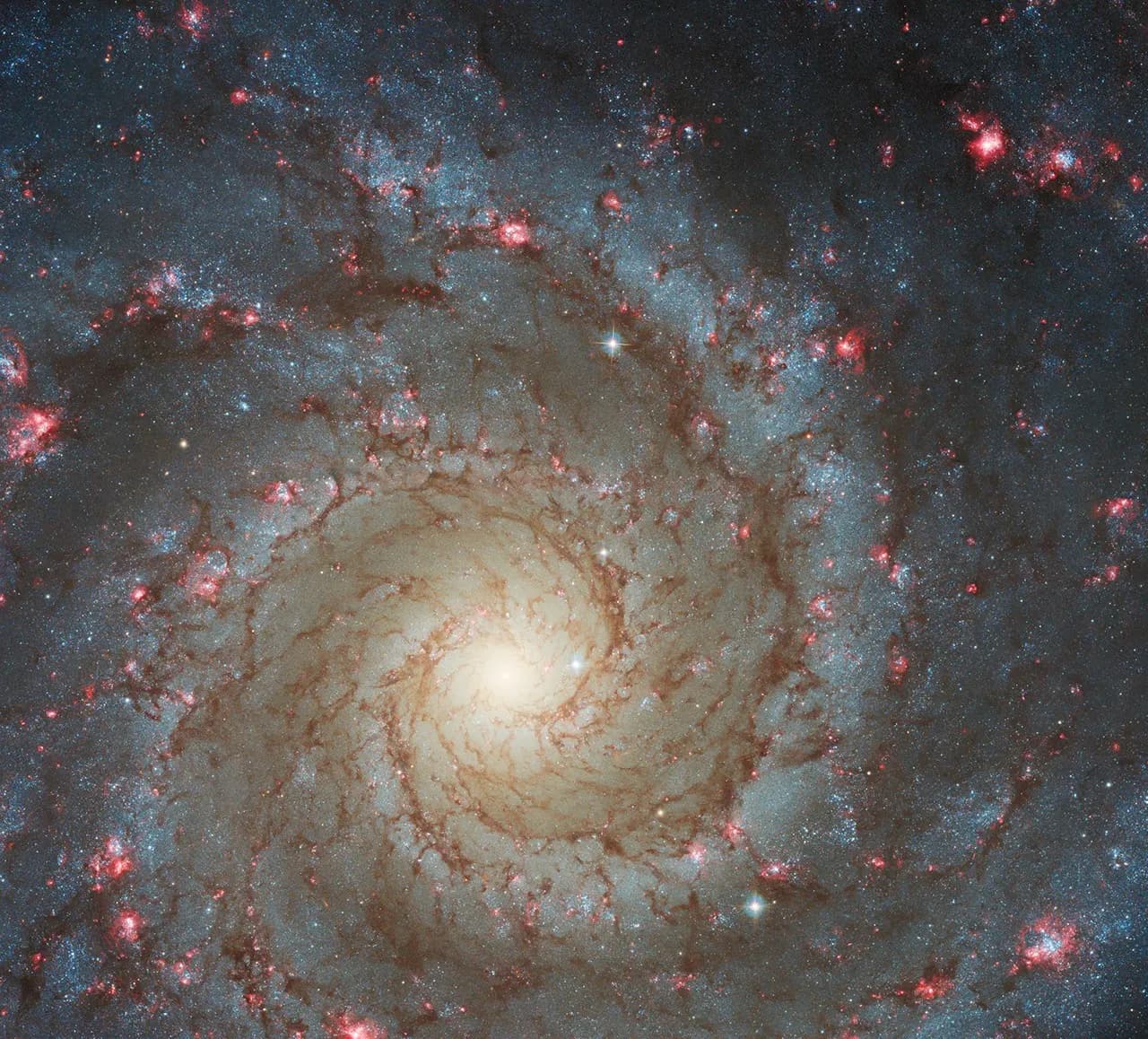 Reference image of the Phantom Galaxy (M74) from Hubble, showing the face-on spiral structure that is famously subtle at the eyepiece